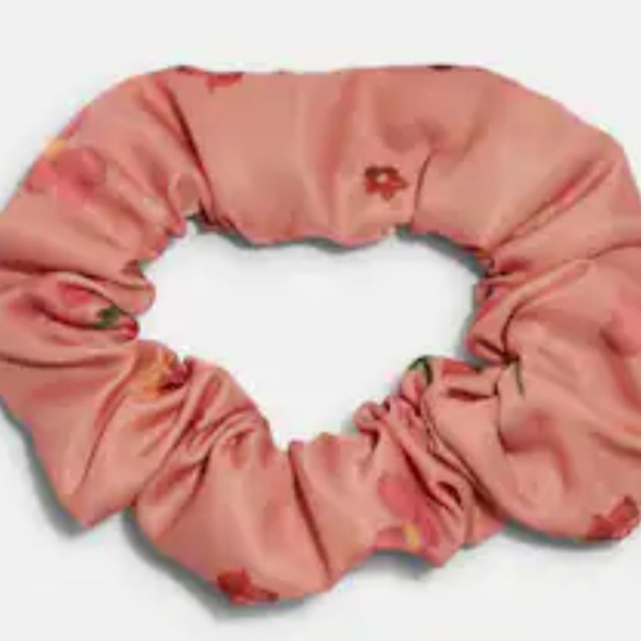 Coach Scrunchies - Picture 5 of 9